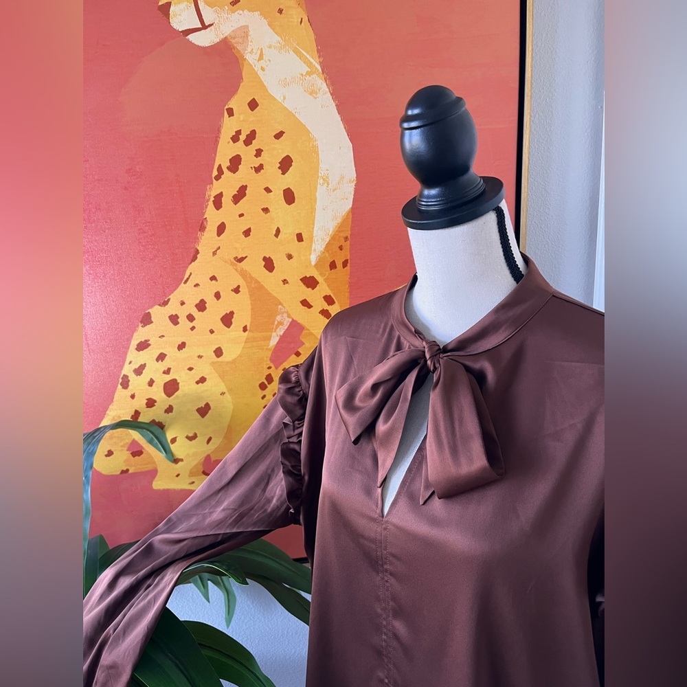 Express Brown Long Sleeve Satin Blouse Size L Ruffles Bow Ties NWT - Picture 4 of 9
